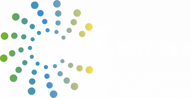 DIGITALSUN ENR